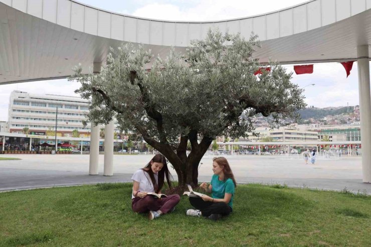 Milli İrade Meydanı’na 300’den fazla ağaç dikildi