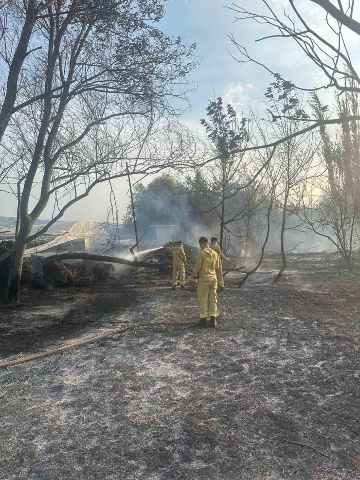Anız yangınına itfaiye ekipleri müdahale etti