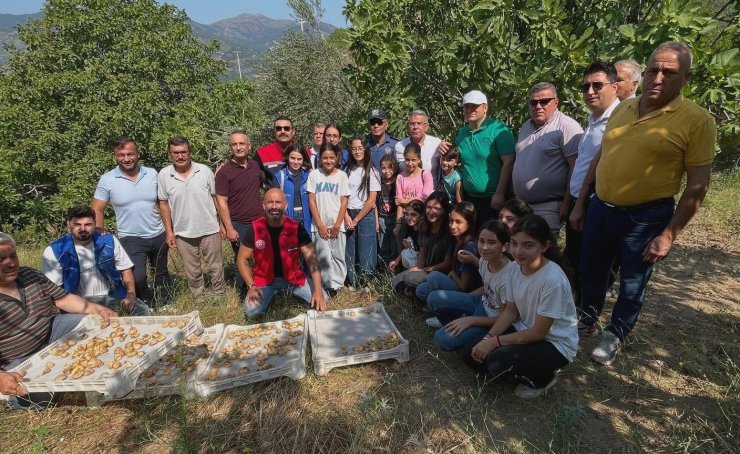 Köşk’te gönüllü hasat şenliği gerçekleştirildi