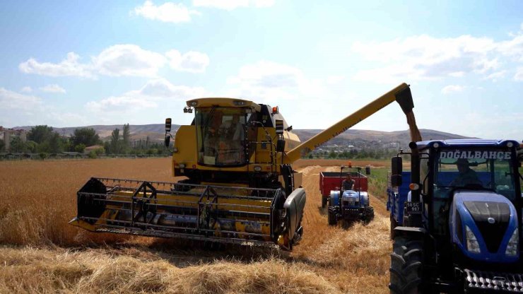Sivas Cumhuriyet Üniversitesi’nde hasat bereketi başladı