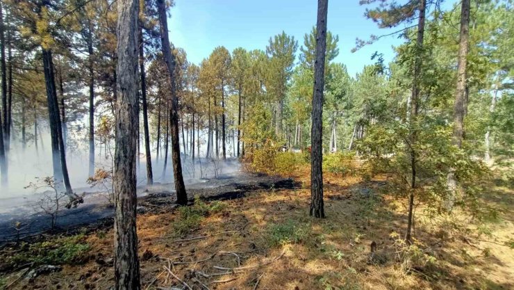 Honaz’daki orman yangınına karadan ve havadan müdahale ediliyor