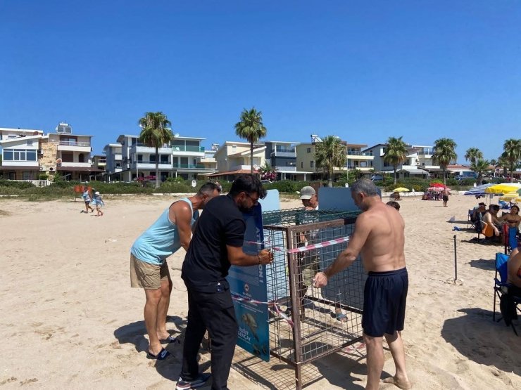Işık kirliliği yönlerini şaşırttı, gönüllüler kurtardı