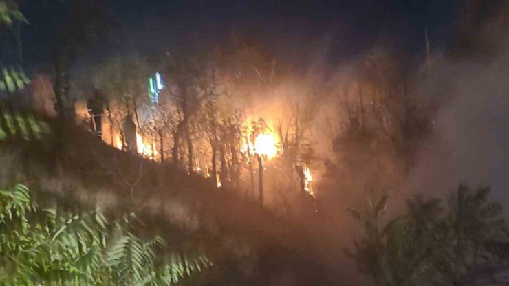 Kırıkkale’de ağaçlık alanda yangın