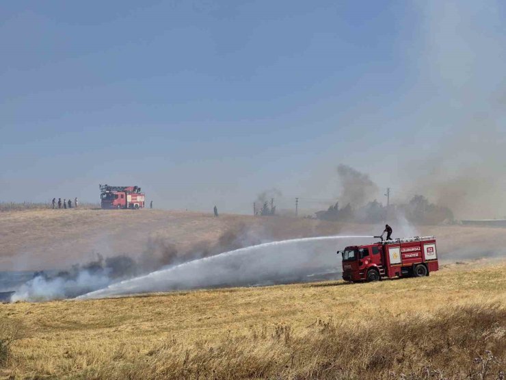Yerleşim yeri yakınındaki çıkan anız yangını söndürüldü