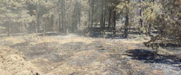 Sinop’taki orman yangınında soğutma çalışmaları sürüyor