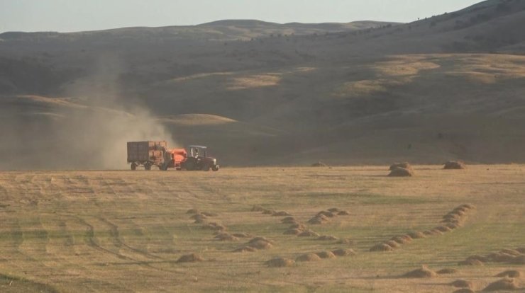 Bayburt’un Çayırköprü köyünde 194 balya ot çalındı
