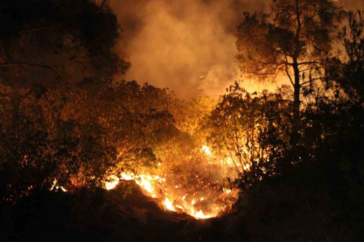 Çanakkale’de yangın etkisini sürdürüyor... Ekiplerin müdahalesi gece de sürüyor
