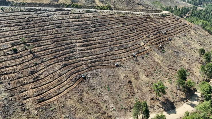Babadağ’da geçen yıl yanan bölgelere ağaçlandırma çalışmaları sürdürülüyor