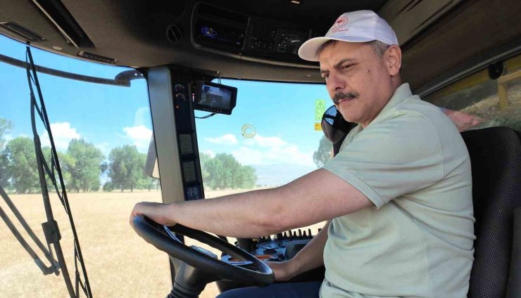 Tarım Lisesi’nde buğday hasadı