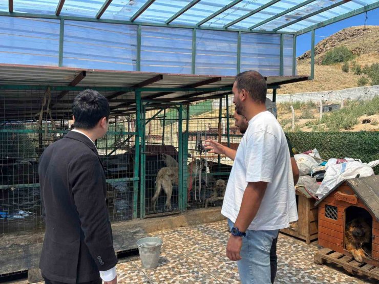 Kaymakam Tutal, Hayvan Barınağı’nda incelemelerde bulundu