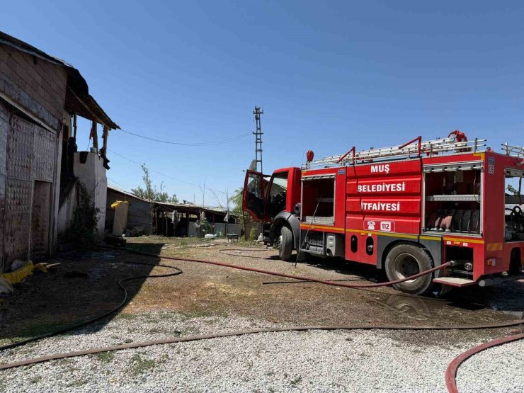 Muş’ta ev ve samanlık yangını