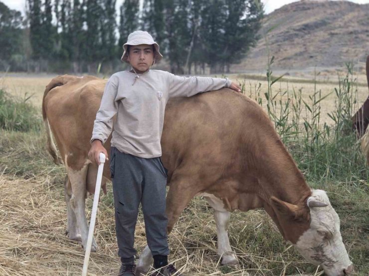 Baktığı hayvanların huyuna ve desenine göre isim veriyor