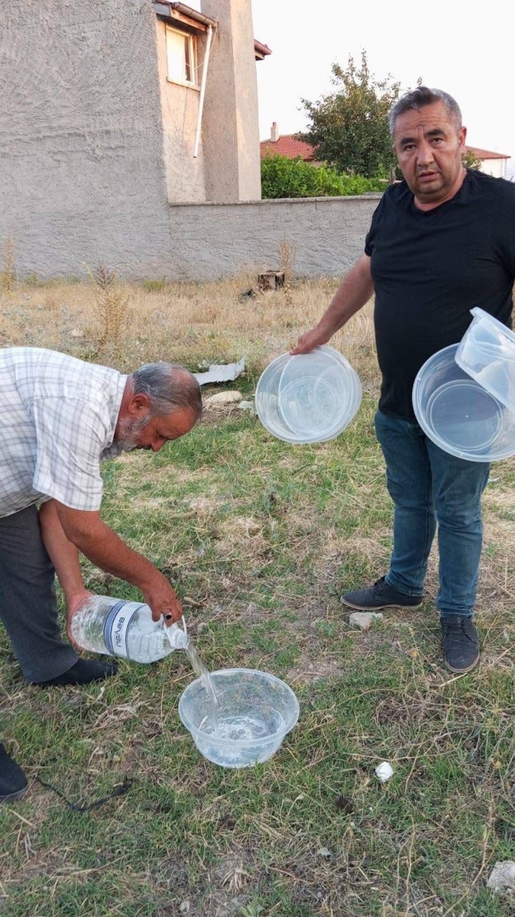 Mahalle muhtarından sokak hayvanlarına yönelik örnek çalışma