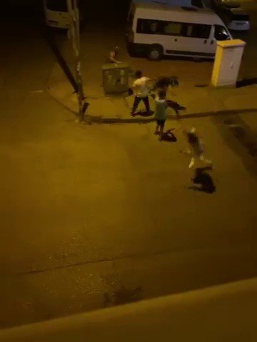 Kavga ettiği kişiye kaldırım taşıyla saldırdı