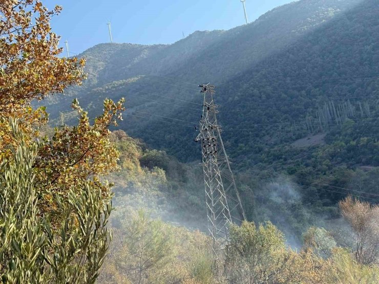 Osmaniye’de orman yangını