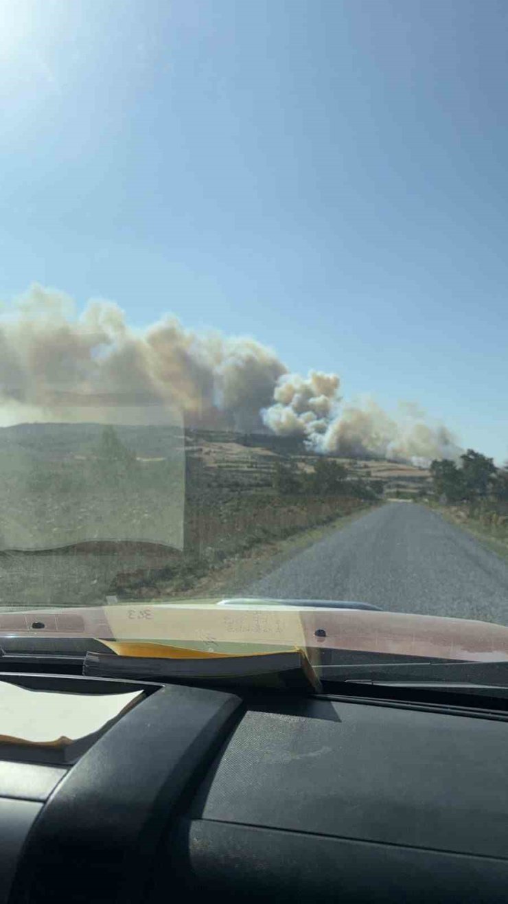 Gelibolu’da orman yangını