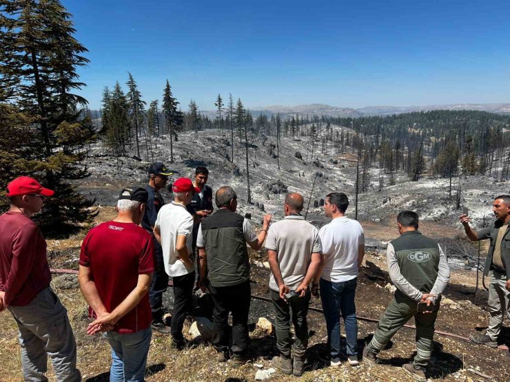 Vali Mehmet Fatih Çiçekli: "Yangın tamamen kontrol altına alındı"