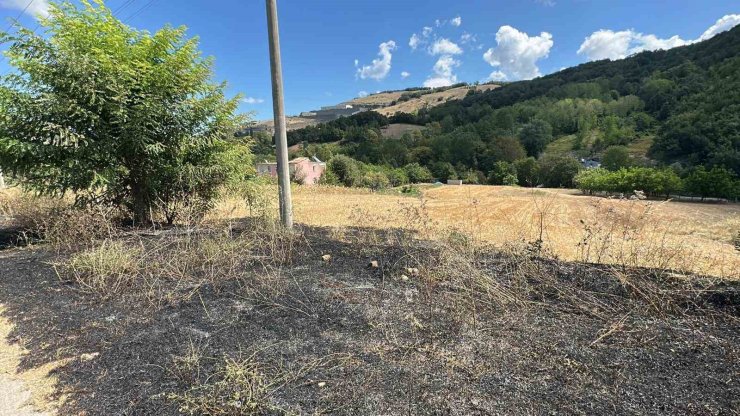 Çalılık alandaki yangın ormana sıçramadan söndürüldü