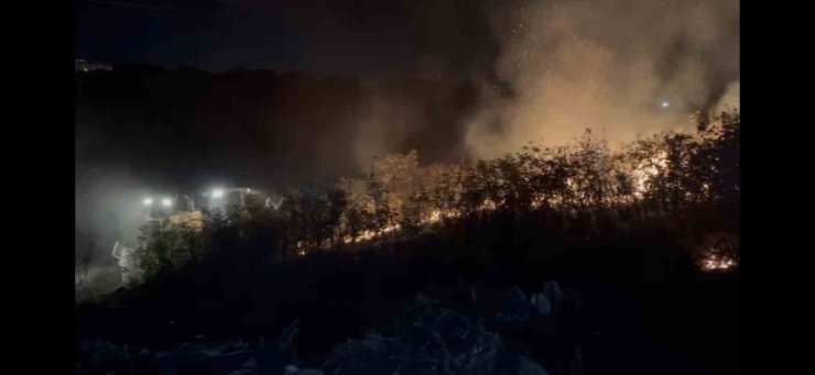 Balıkesir’de alevler geceyi aydınlattı
