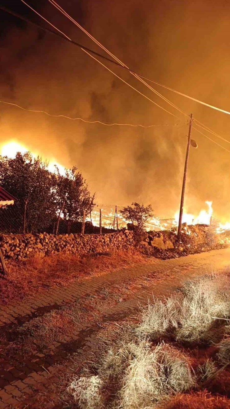Köyde çıkan yangında 6 ev küle döndü