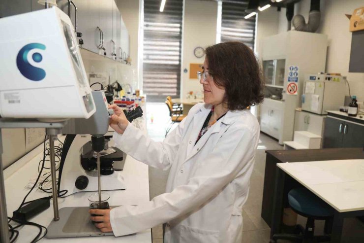 BTÜ’den havacılığa yeşil kalkan: Isıya dayanıklı doğal malzeme geliştirilecek