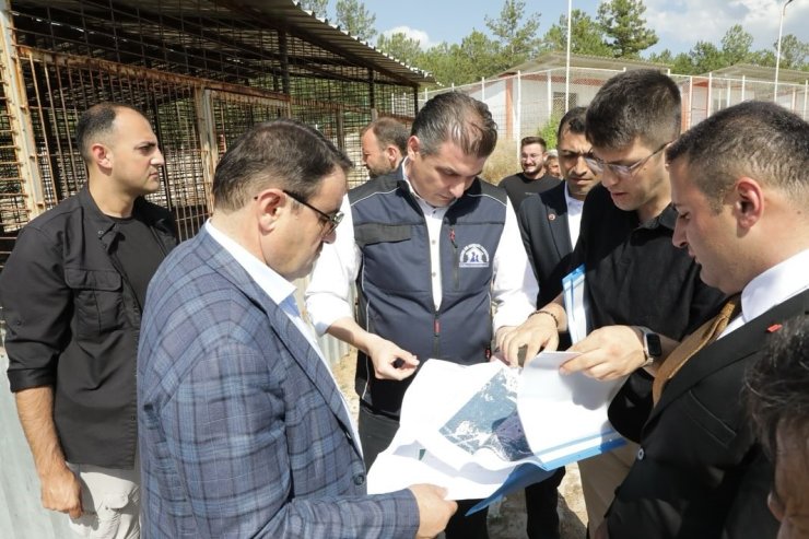 Kütahya Valisi Işın, "Sahipsiz hayvanlara yönelik hizmetler toplumsal duyarlılığın bir göstergesidir"