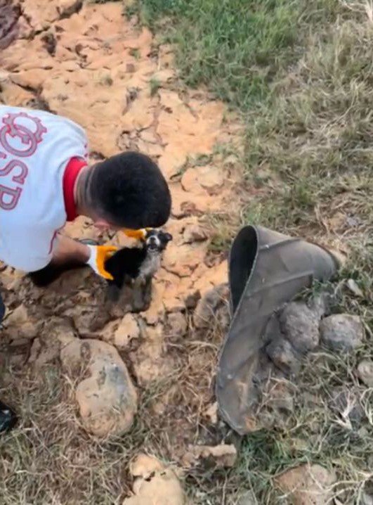 Osmaniye atık su kuyusunda mahsur kalan 2 yavru köpek kurtarıldı