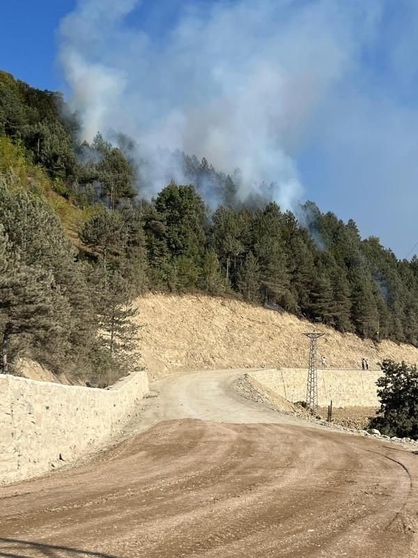 Türkeli’de ormanlık alanda örtü yangını