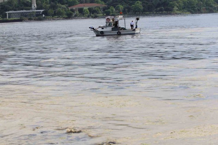 Marmara’nın küçük balıkçılarına "müsilaj" desteği geliyor