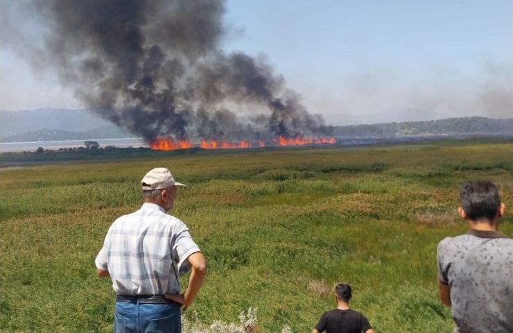 Beyşehir’de sazlık alanda çıkan yangın havadan müdahale ile söndürüldü