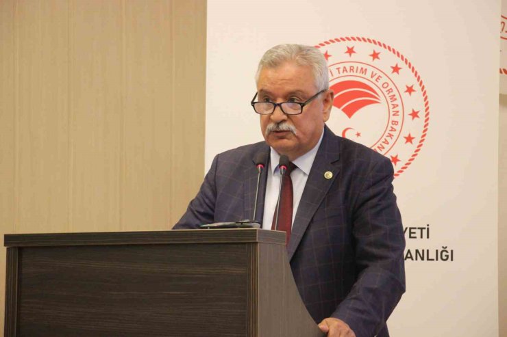 Başkan Kendirlioğlu: "İncir ağaçları tescillenmeli"