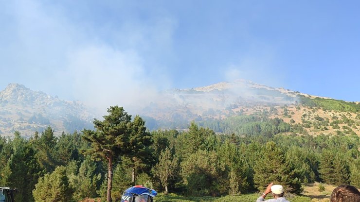 Gümüşhane’de çıkan yangın kontrol altına alındı