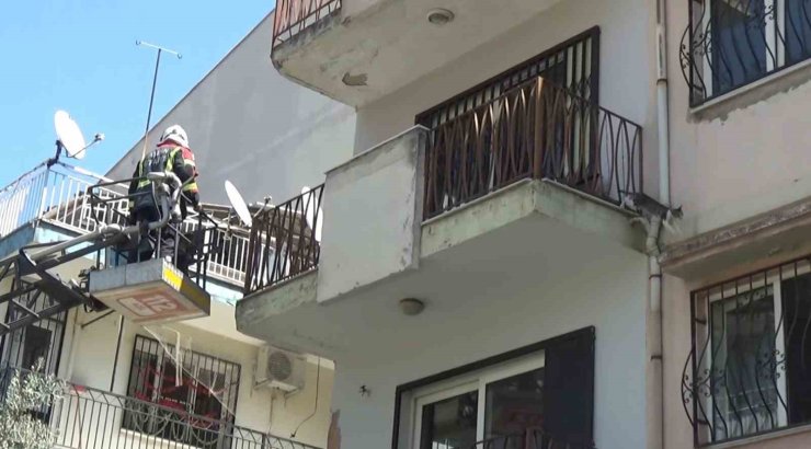 Sevimli kediyi kurtarmak için tüm ekipler seferber oldu, o kurtarılacağı anda atlayıp gitti