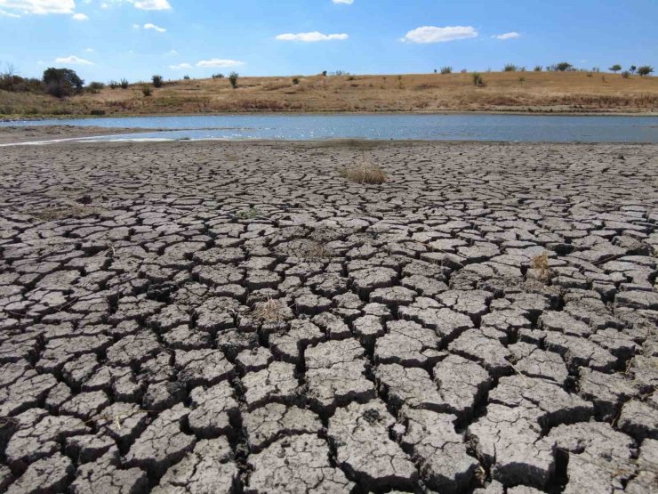 Kuruyan gölette derin çatlaklar oluştu