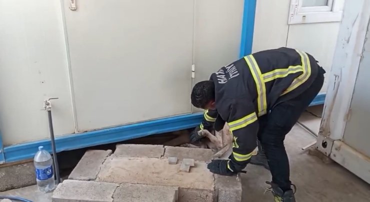 Hatay’da konteynerin altına sıkışan köpek kurtarıldı