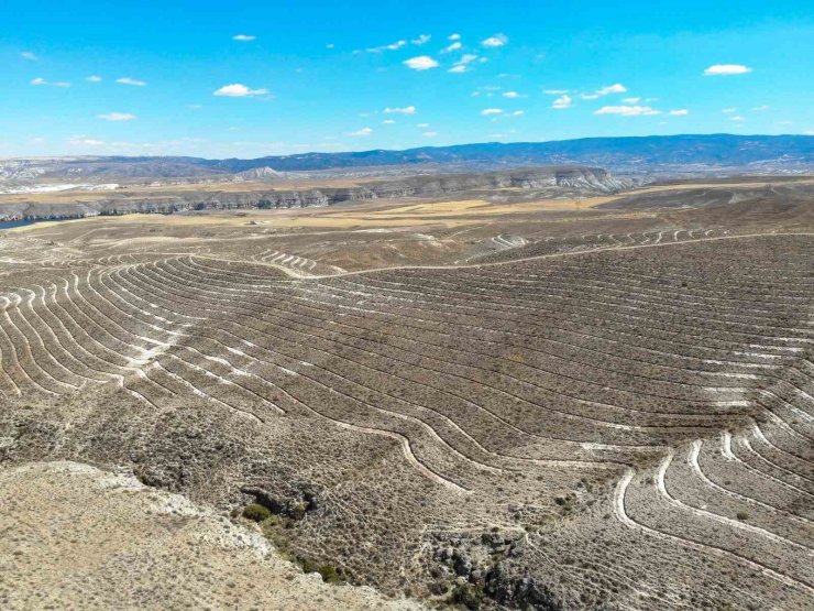 OGM: "Ankara’da 600 futbol sahası büyüklüğünde alanda erozyona karşı set oluyoruz"