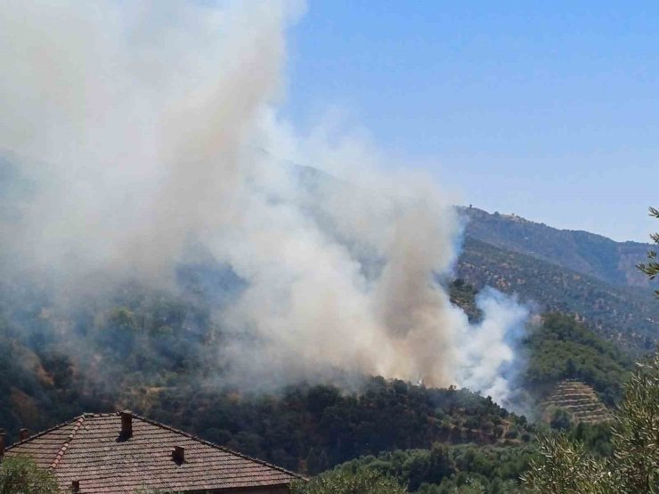 Aydın’da zirai alan yangını