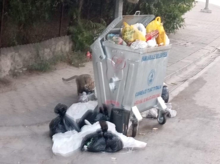 Pamukkale’de çöp dağları