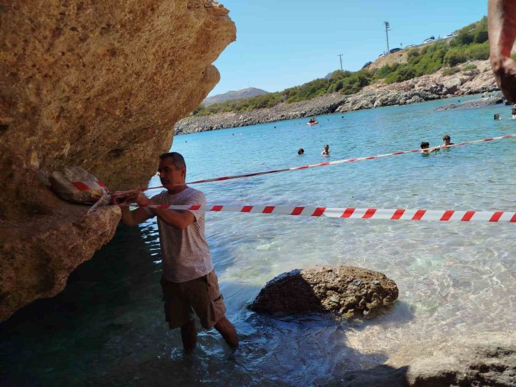 Koruma altına alınan Akdeniz foku, kontrollerinin ardından sahile bırakıldı