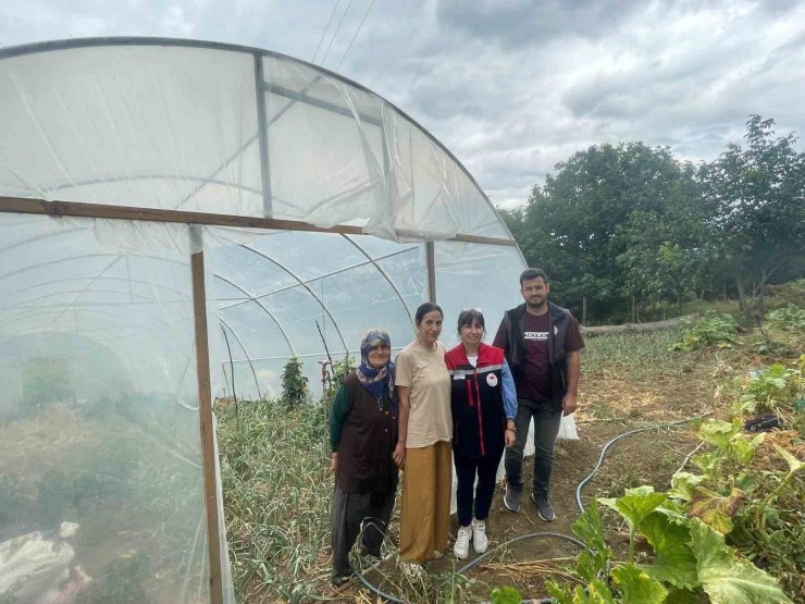 Sinop’ta modern seralar faaliyete geçti
