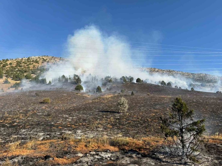 Adana’daki orman yangını kontrol altına alındı