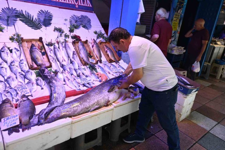 40 kiloluk yayın balığını görenler ’Canavar gibi’ diyor