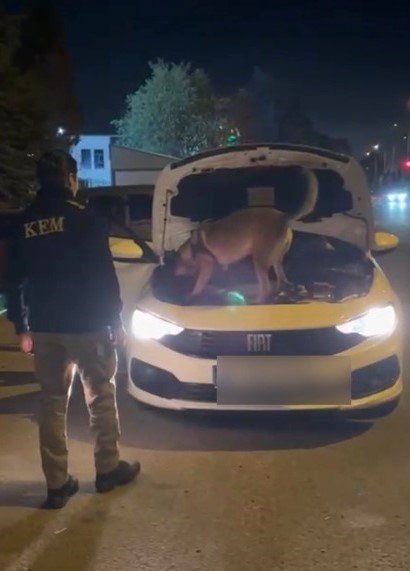 Kütahya’da 3,5 kilo kokain ele geçirildi, şüpheli 2 kişi tutuklandı