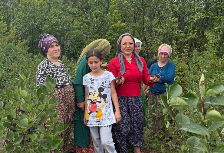 Aronya Akçaabat’tan dünyaya açılıyor