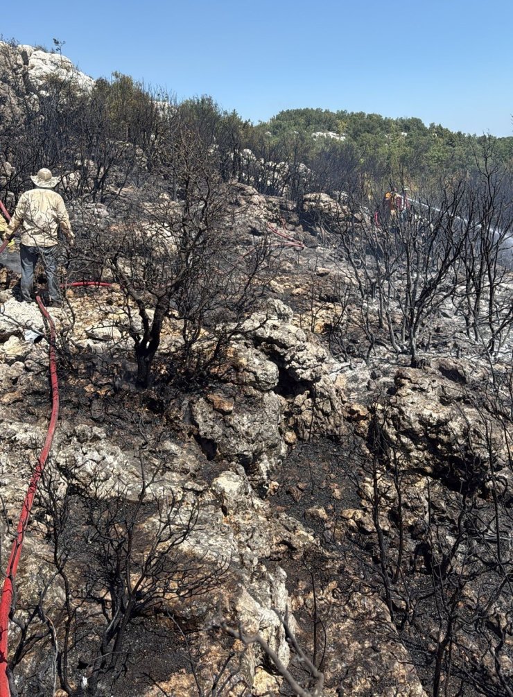 Mersin Silifke’de yangın ormanı sarmadan söndürüldü