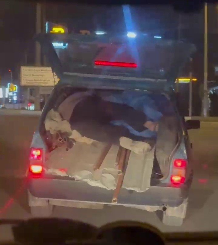 Kapağı açık bagajda yük üzerinde yolculuk yaptı