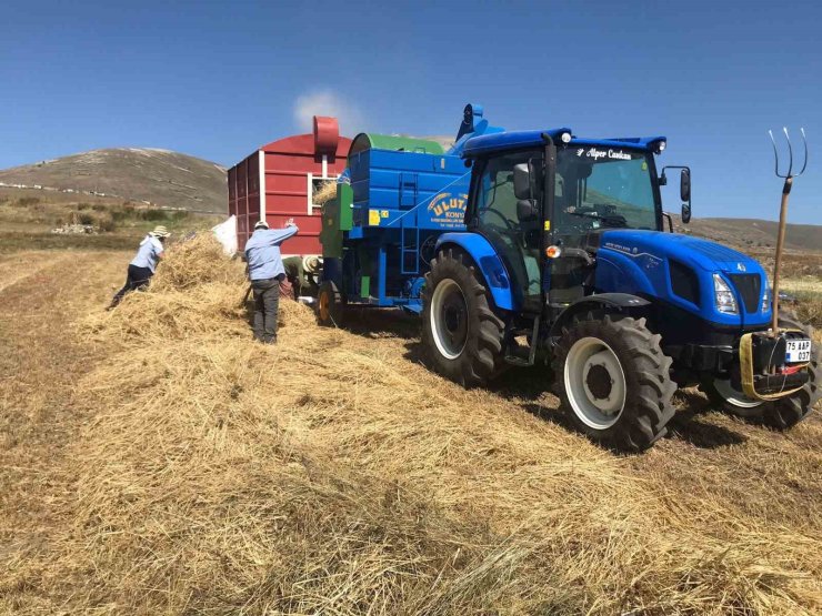Ardahan’da güneş altında patoz mesaisi