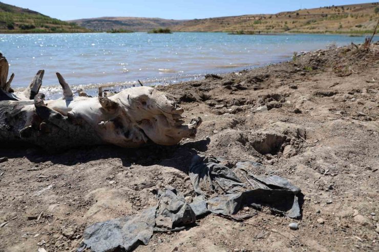 Sivas’ın önemli su kaynaklarında olan 4 Eylül barajında zemin görüntü