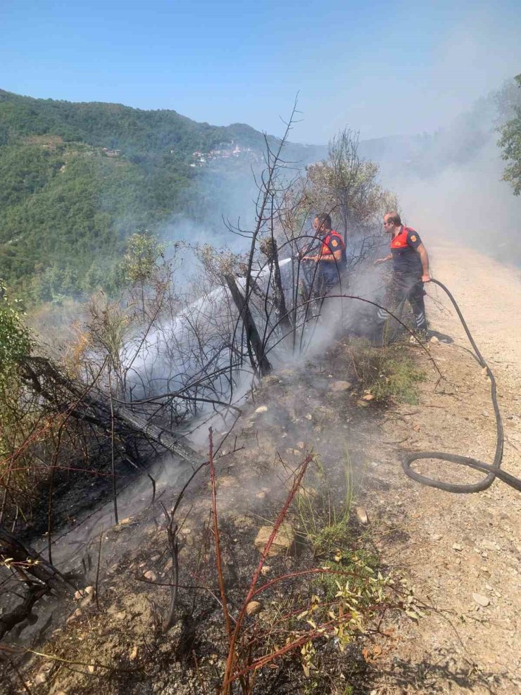 Türkeli’de ormanlık alanda yangın paniği