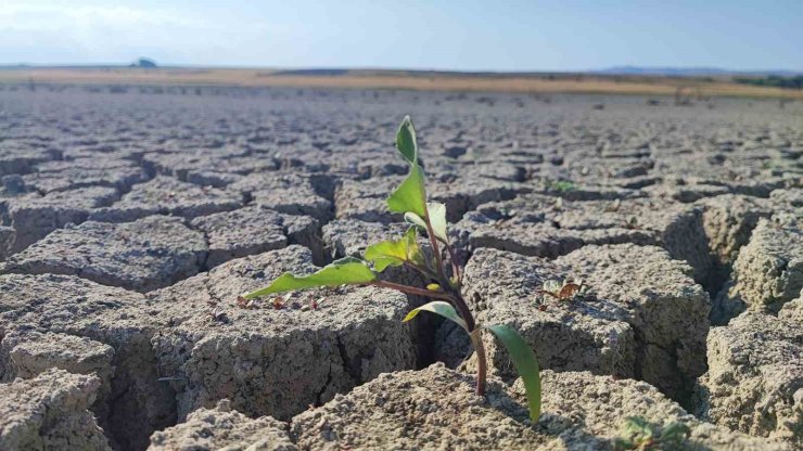 Yozgat’taki Gelingüllü Barajı’nda su çekildi, kuraklığın izleri ortaya çıktı